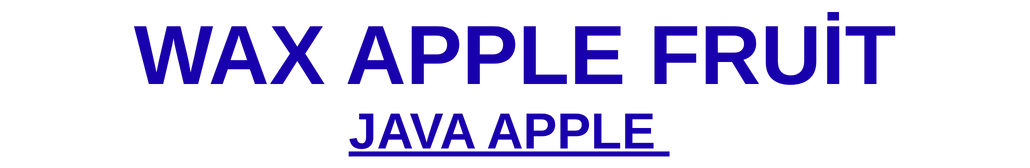 Wax Apple Fruit – Java apple